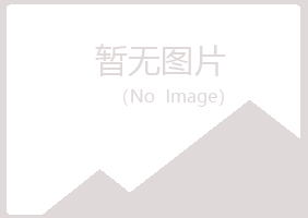 克山县狼狈会计有限公司